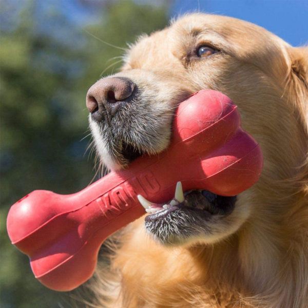 KONG Goodie Bone Dog Toy - Image 2