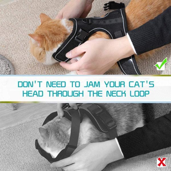 rabbitgoo Cat Harness and Leash for Walking, Escape-Proof No Choke Reflective Vest Harnesses for Small Cats. - Image 3