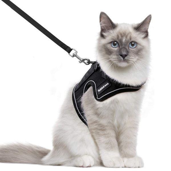 rabbitgoo Cat Harness and Leash for Walking, Escape-Proof No Choke Reflective Vest Harnesses for Small Cats.