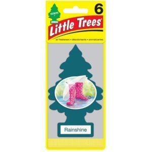 Little Trees Car Air Freshener 6-Pack (Rainshine)